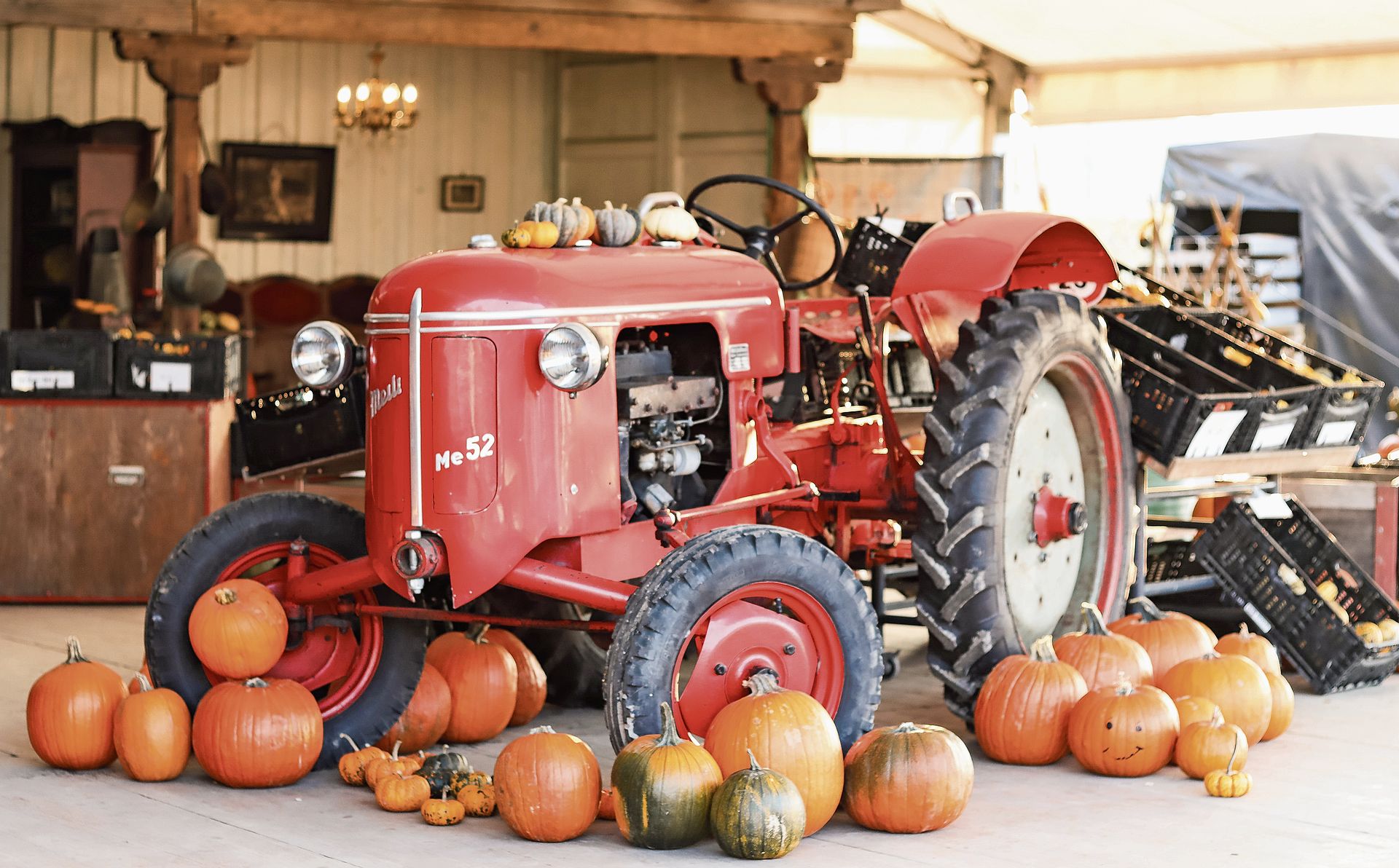 Traktor trifft Kürbisparade: Nostalgie und Erntefreude vereint.Foto: Romi Schmid 