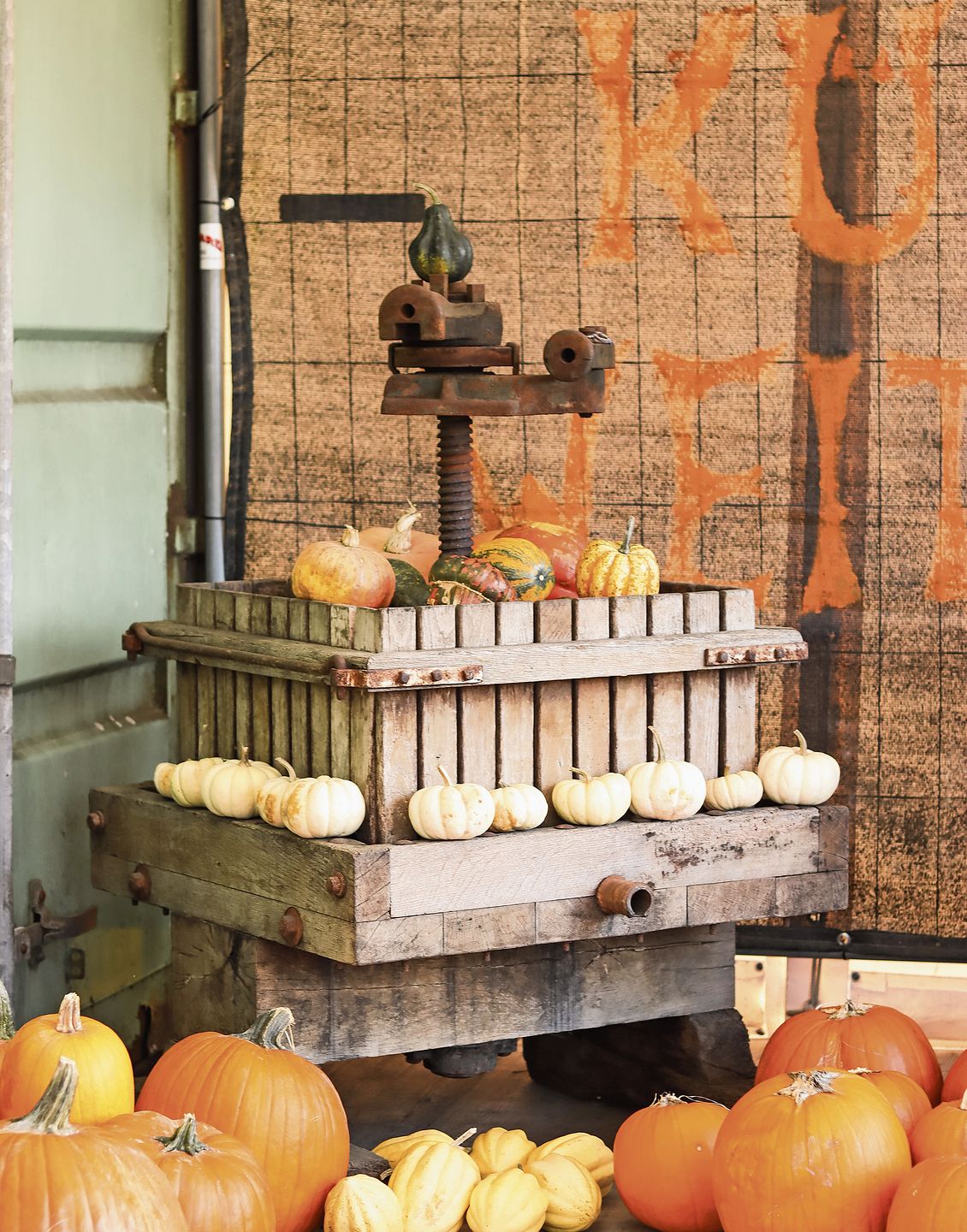 Kleine Zierkürbisse, alte Mostpresse.Foto: rsc