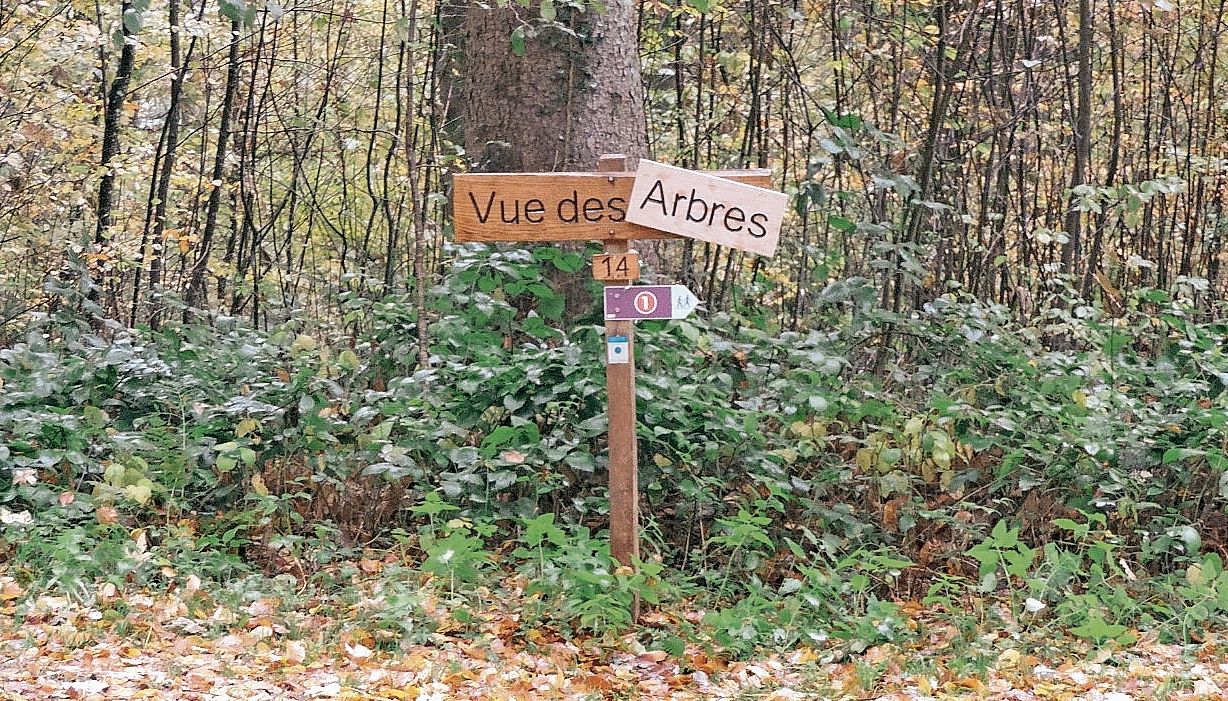 Vom Weitblick zur Waldsicht: Das neue Schild zeigt, wer im Lütisbuech das Sagen hat – der Wald.Foto: zvg Vom Weitblick zur Waldsicht: Das neue Schild zeigt, wer im Lütisbuech das Sagen hat – der Wald.Foto: zvg