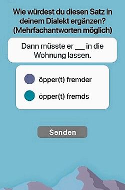 Mit einfachen Fragen kommt man per App zu genauen Ergebnissen.Screenshot: rfb