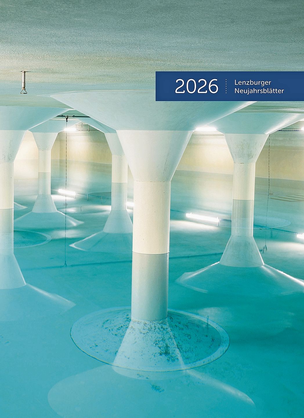 Wasserreservoir Goffersberg: Umschlag der «Lenzburger Neujahrsblätter 2026».Foto: Emanuel Freudiger