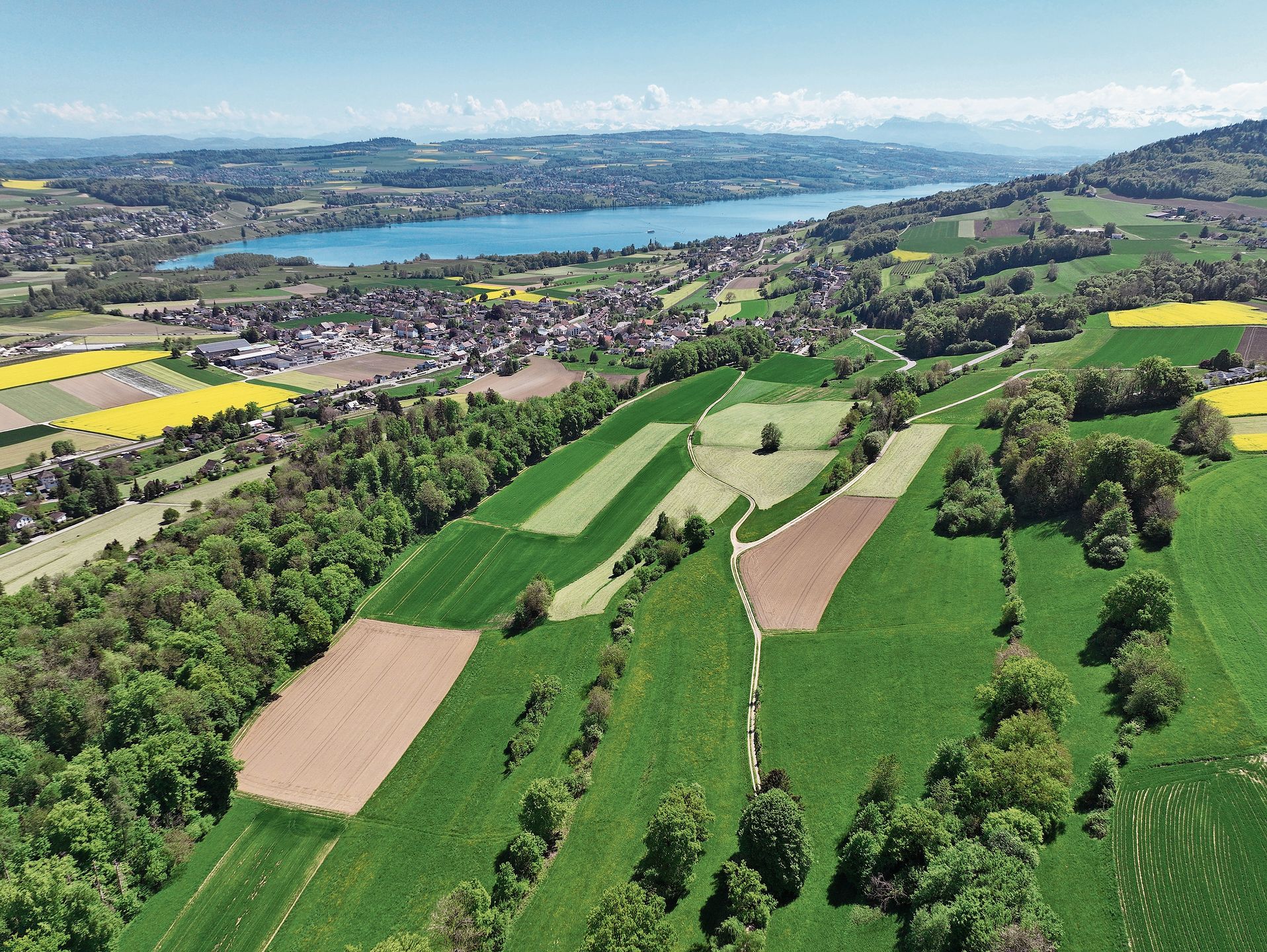 Frühling:  Die Rapsfelder blühen und die neuen Blätter der Bäume zeigen ein zartes Hellgrün.Foto: Andreas Walker