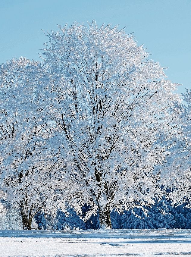 Zur Ruhe kommen. Foto: pixabay