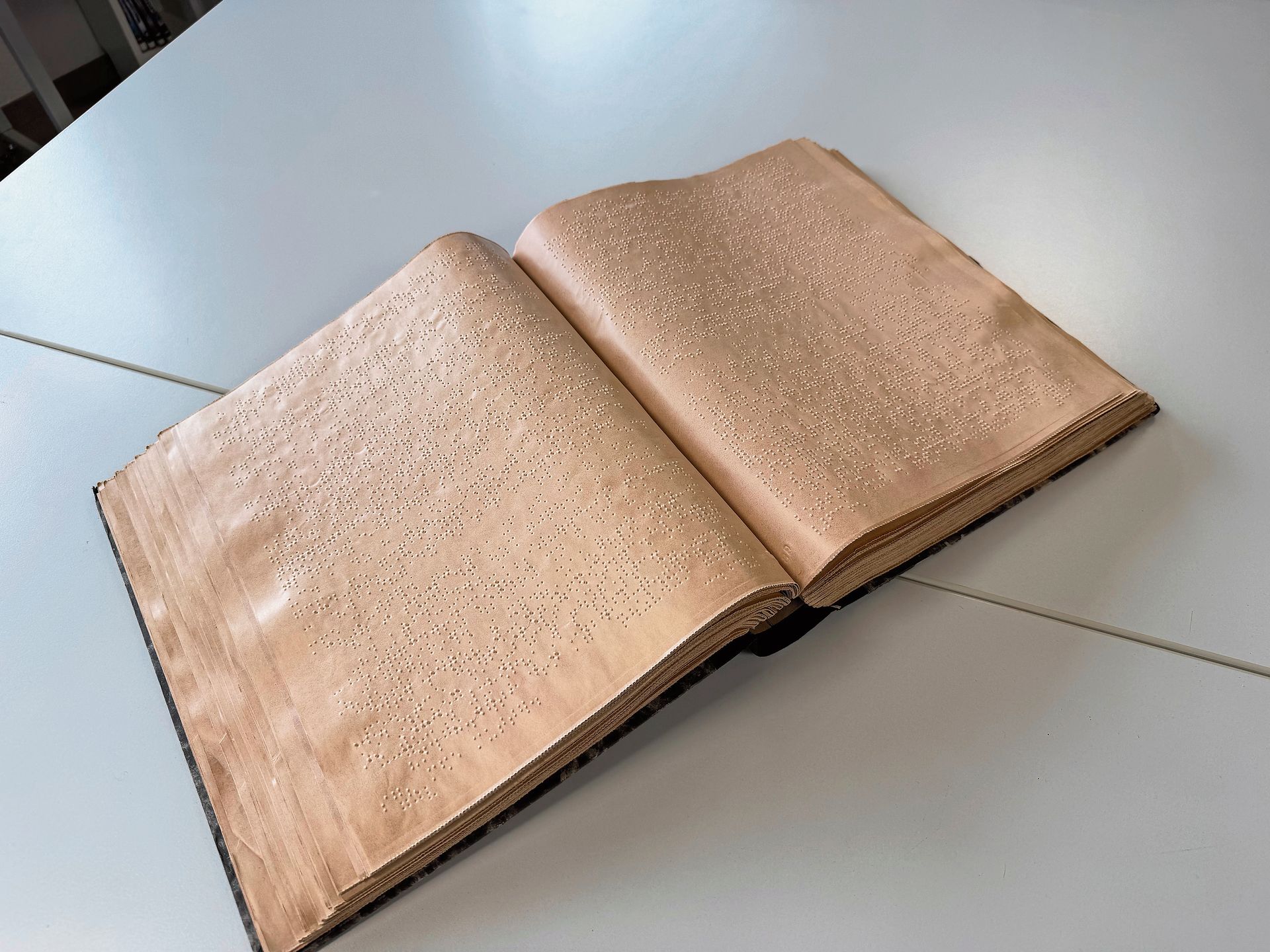 Lesestoff zum Anfassen: Ein Buch in Brailleschrift.Foto: VSc