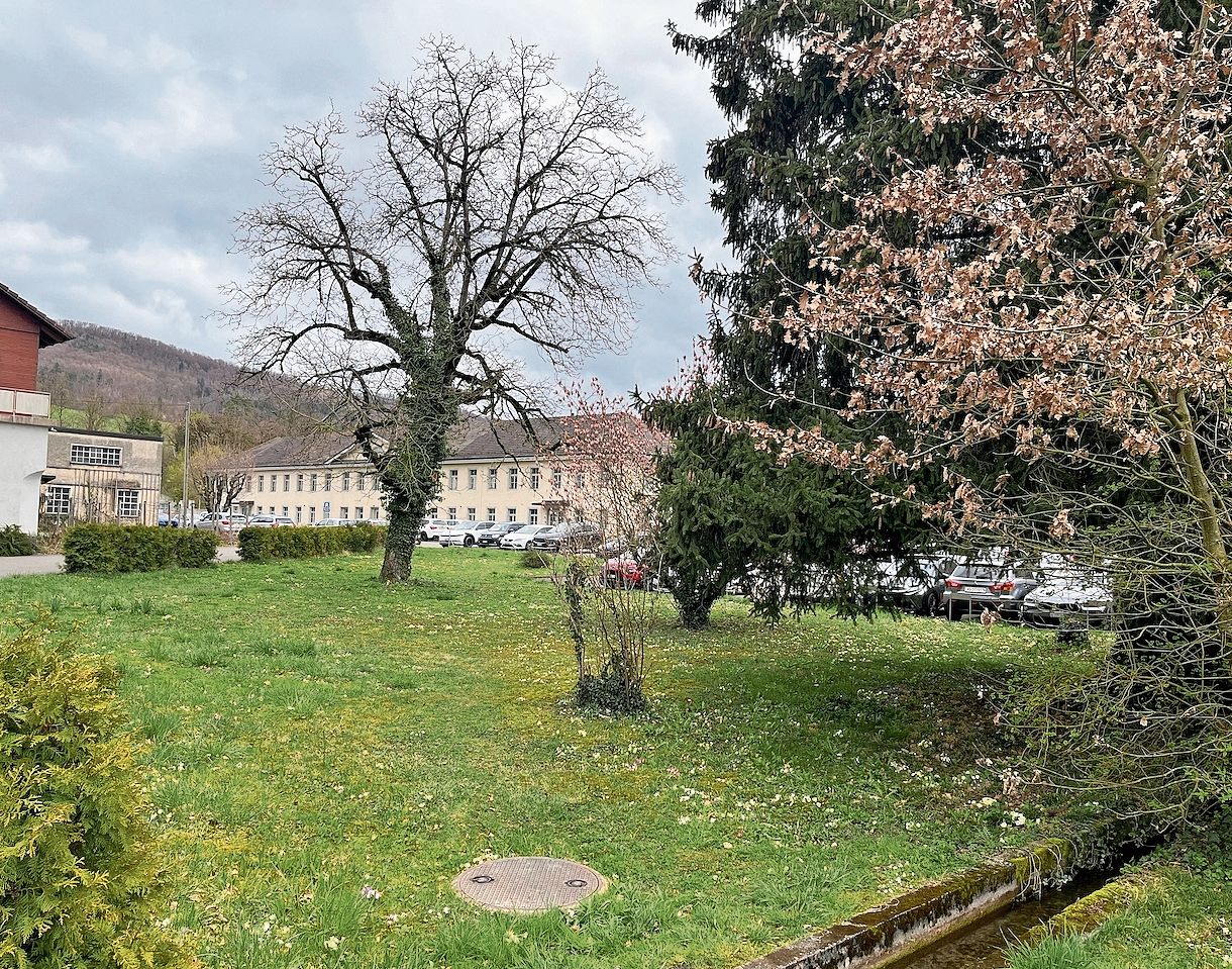 Lauépark mit noch vorhandener Wasserführung, die den Teich im nord-westlichen Teil des Parks speist.Foto: Verein Industriekultur am Aabach