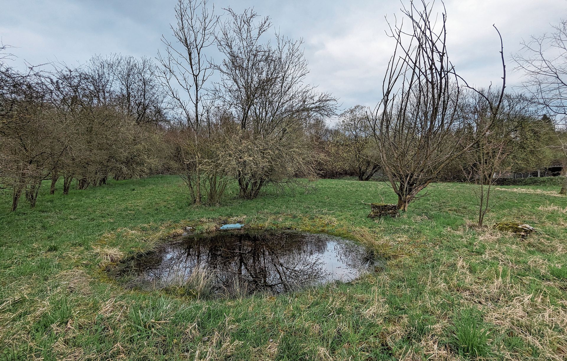 Weiher Haslirain.Foto: zvg 