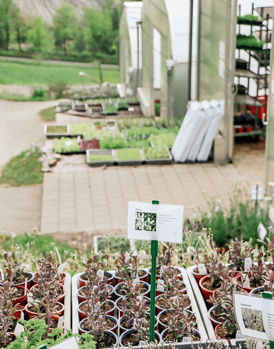 Farbenfrohe Vielfalt.Foto: Romi Schmid 