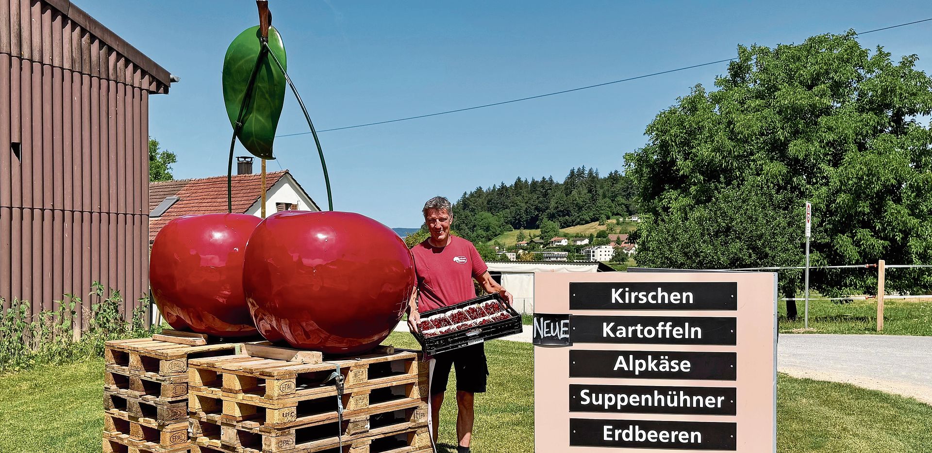 Urs Baur vom Eichhof präsentiert die feinen Kirschen – dunkelrot und mit Gold prämiert.Foto: Verena Schmidtke