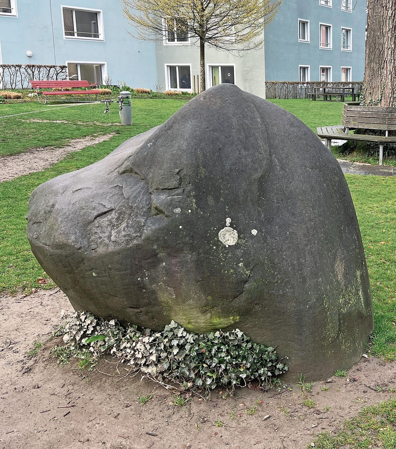 Der Megalith, die Eiche und die Relieftafel als stumme Zeugen.Foto: mphs Der Megalith, die Eiche und die Relieftafel als stumme Zeugen.Foto: mphs