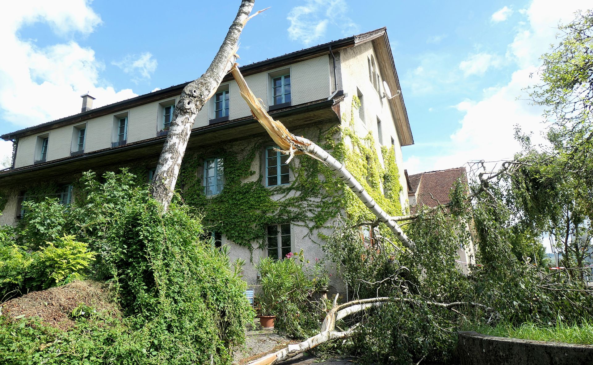 Schäden an der Landschaft: Der Wind war so stark, dass die Belastung für manchen Baum zu gross wurde und der Stamm brach.Foto: AW Schäden an der Landschaft: Der Wind war so stark, dass die Belastung für manchen Baum zu gross wurde und der Stamm brach.Foto: AW