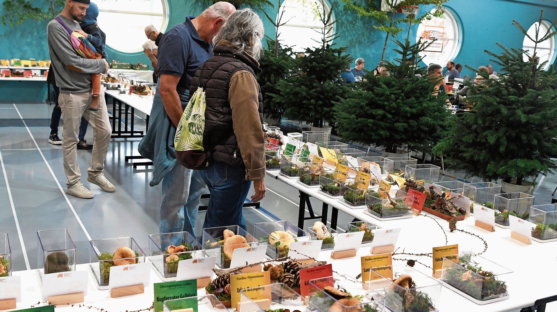 Rund 320 verschiedene Pilze konnten an der Ausstellung bewundert werden.Foto: Andreas Walker