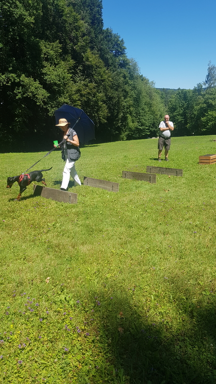 Das eine schliesst das andere nicht aus: Beim Hundeclub Auenstein wird auf Gehorsamkeit als auch auf Spass Wert gelegt. Foto: zvg
