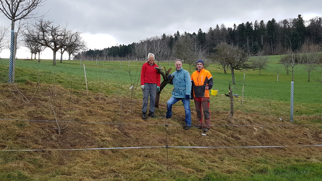 Eine Hecke für den Neuntöter:  Mitglieder des Natur- und Vogelschutzvereins Dürrenäsch nach getaner Arbeit. Foto: Ursi Graser
