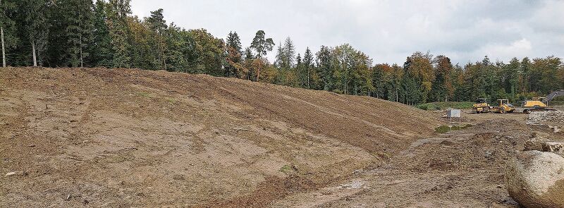 Steht bereit für die Neuaufforstung: Die rekultivierte Fläche der Etappe 1 der Kiesabbaufläche der Lenzburger Ortsbürger. Foto: zvg
