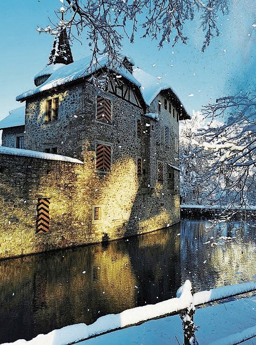 Schneewirbel von den Bäumen: Vorderes Haus von Schloss Hallwyl. Foto: Fritz Thut