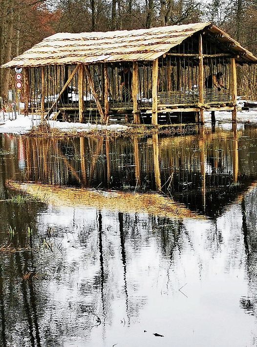 Neu rekonstruiert: Das Pfahlbauhaus in Seengen während der Bauphase. Foto: Fritz Thut