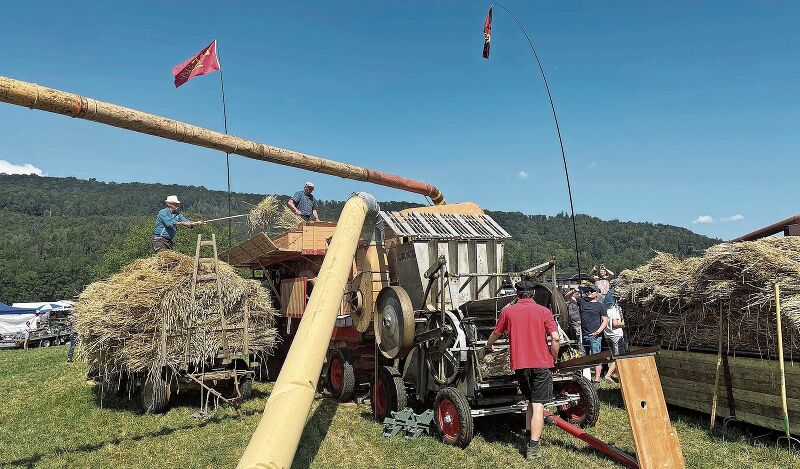 Von einem Traktor angetriebener Getreidedrescher: Gefüttert wird der Drescher mit Garben, die vor einigen Wochen mit einem alten Garbenbinder geerntet wurden. Foto: Hanny Dorer