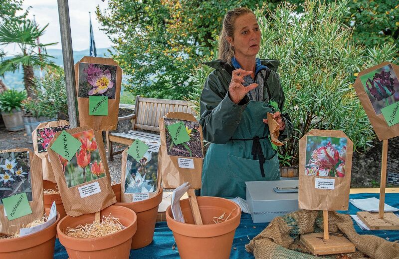 Doppelt so tief und genug Abstand: Schlossgärtnerin Tanya van der Laan erteilte gerne Ratschläge zum richtigen Pflanzen der Tulpenzwiebeln.  Foto: Peter Winkelmann
