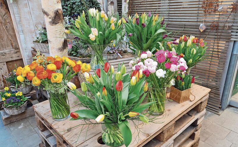 Blumen – der Klassiker: «Mit Blumen für seine Lieben liegt man nie falsch», sagt Heinz Tanner, Betriebsleiter von Aareblumen Au-Veltheim. Foto: Carolin Frei
