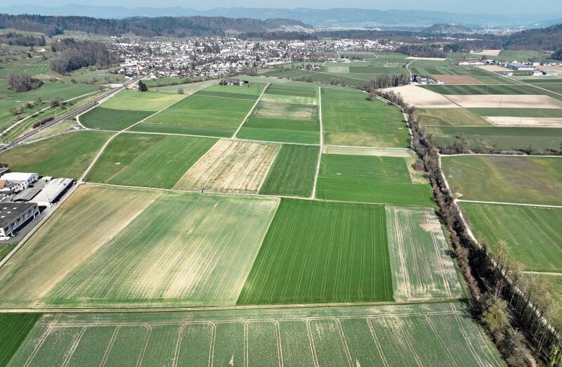 Trocken – Ende März 2022. Die beiden Bilder mit gleichem Ausschnitt zeigen Felder zwischen Hallwil und Seon. Von oben ist die diesjährige Trockenheit im Vergleich gut erkennbar. Das untere Bild wurde Ende März 2020 aufgenommen und zeigt sattgrüne Wiesen. Das obere Bild wurde Ende März 2022 aufgenommen. Die Felder sind nur spärlich grün und überall wird der helle trockene Boden deutlich sichtbar. Foto: Andreas Walker
