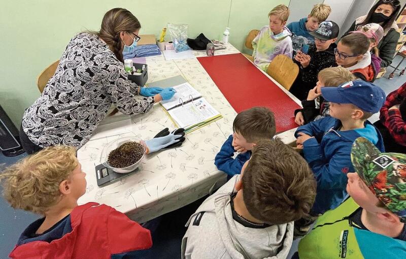 Jugendliche nah dabei: Behandlung eines kranken Igels in der Satis-Igelstation. Foto: Andreas Walker