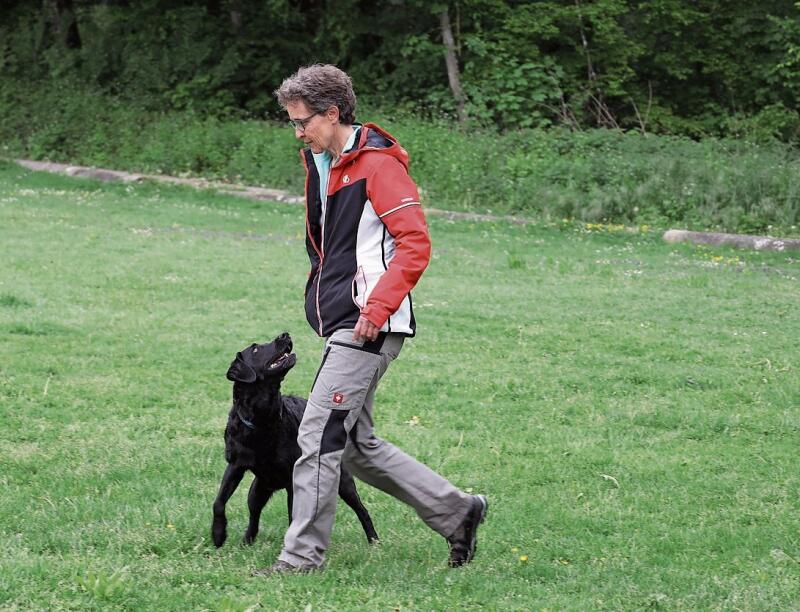 Hochkonzentriert bei der Arbeit: Monika Suter und Hündin Nukka sind Schweizer Meister im Bereich Retriever Sanitätshunde. Foto: Deborah Bläuer