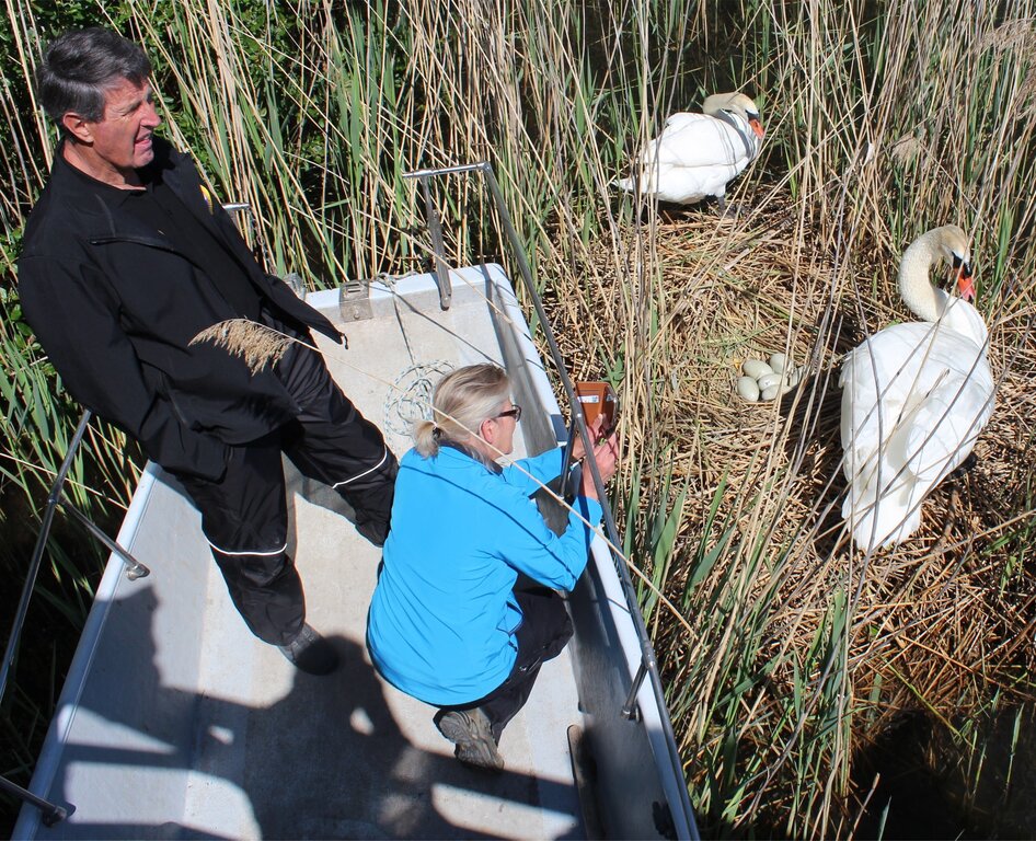 Auf Inspektion: Familie Häfeli begegnet Familie Schwan. Fotos: Alexander Studer Auf Inspektion: Familie Häfeli begegnet Familie Schwan. Fotos: Alexander Studer