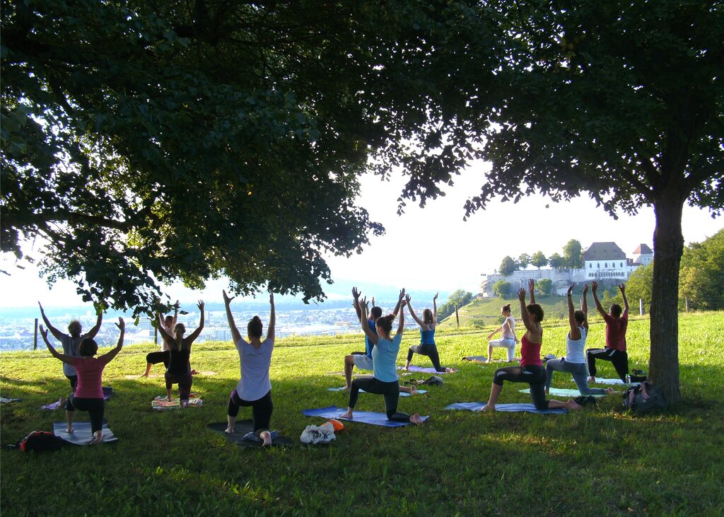 Im Einklang mit der Natur: Yoga im hellen Abendlicht auf dem Lenzburger Goffersberg. Fotos: Stefanie Osswald