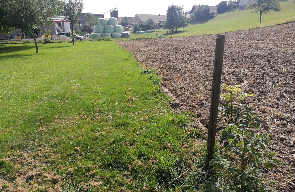 Bald baureif? Das Gebiet Chilchmatt in Leutwil. Foto: Fritz Thut