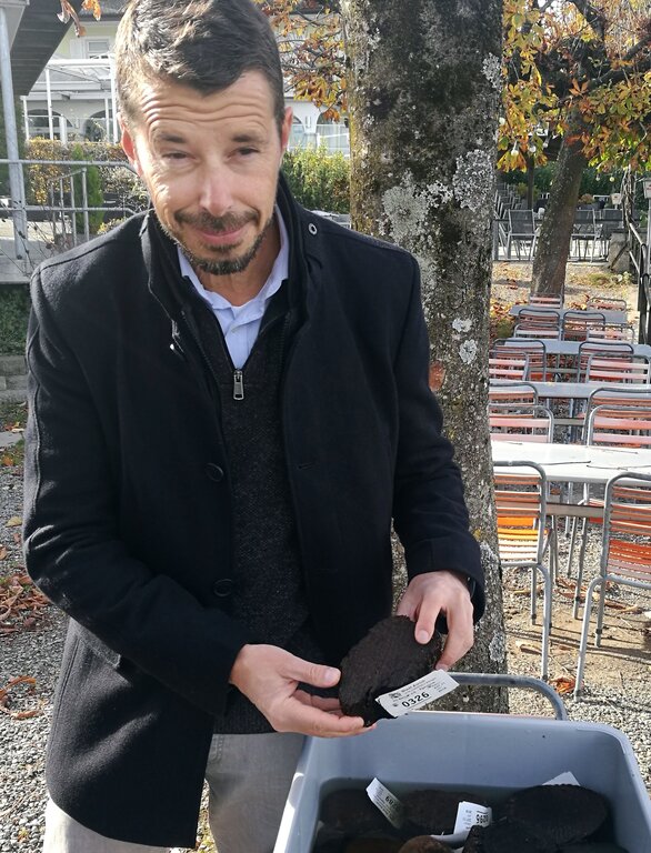 «Kulturhistorisch bedeutend»: Kantonsarchäologe Georg Matter mit Holz- stücken der Pfahlbauten Ägelmoos in Beinwil am See. Foto: Fritz Thut