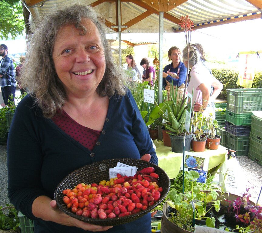 <em>Lust- und Experimentiergärtnerin:</em> Anna- fried Widmer Kessler mit Knöllchensauerklee.
