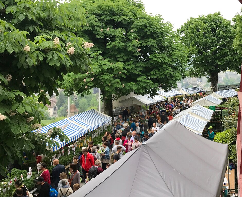 <em>Publikumsmagnet:</em> Der Setzlingsmarkt von ProSpecieRara auf Schloss Wildegg. Foto: zvg
