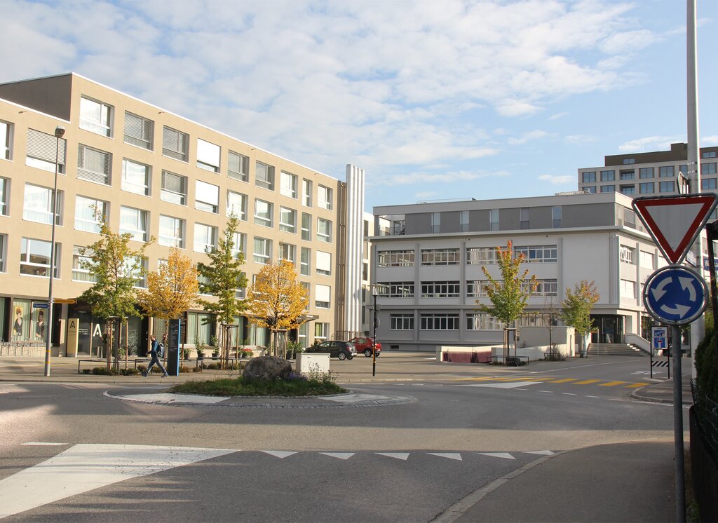 <em>Ein Grasrund und ein kleiner Felsbrocken:</em> Kreisel Niederlenzer Kirchweg/Sägestrasse/Wolfsackerstrasse beim Quartier Im Lenz.