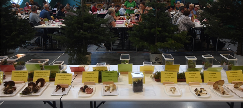 <em>Präsentierte Pilze und Publikum:</em> Pilzausstellung in Meisterschwanden mit dem Publikum an Tischen. Fotos: Andreas Walker
