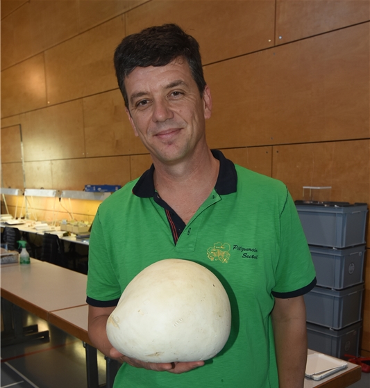<em>Essbar:</em> Pilzkontrolleur James Gurtner mit einem Riesenbovist.