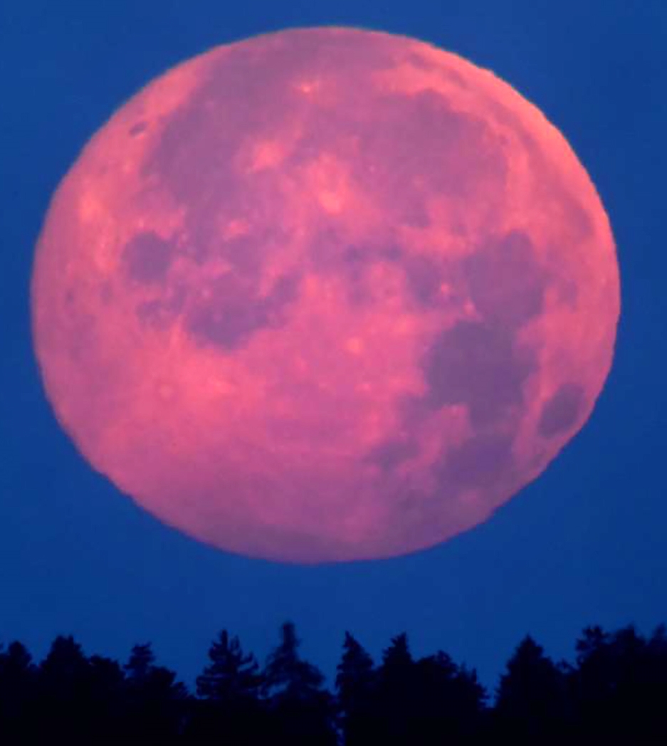 <em>Entscheidend für den Ostertermin:</em> Der Frühlingsvollmond. Foto: Andreas Walker

