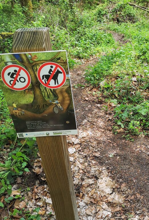 <em>Klare Sprache:</em> Gebotstafel mit Verbotshinweisen am Start eines Waldwegs.