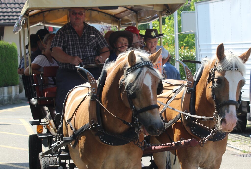 <em>Raus in die Seoner Prärie:</em> Pferdewagen am Sommerfest der Stiftung Satis.