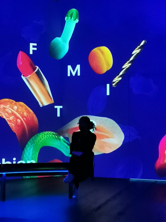 Symbole: Stapferhausleiterin Sibylle Lichtensteiger im Introfilmraum. Foto: Fritz Thut
