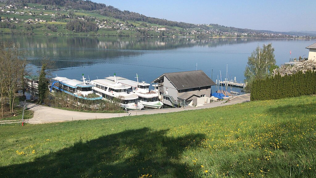 Zum Nichtstun verdammt: Die fünf Schiffe der Hallwilersee-Flotte bei der Werft. Foto: zvg/uha Zum Nichtstun verdammt: Die fünf Schiffe der Hallwilersee-Flotte bei der Werft. Foto: zvg/uha